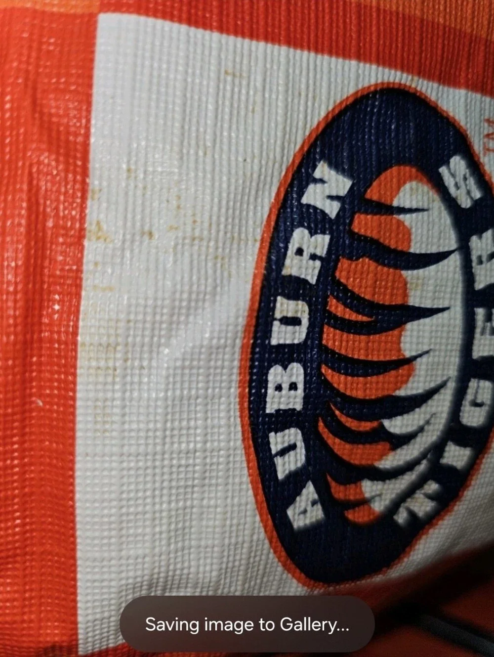 Auburn Tigers perfect au